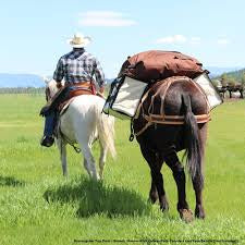 Pack Equipment