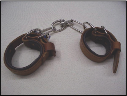 Nylon leather lined chain hobbles